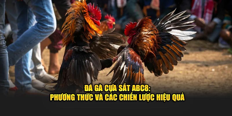 Đá gà cựa sắt phương thức và các chiến lược hiệu quả