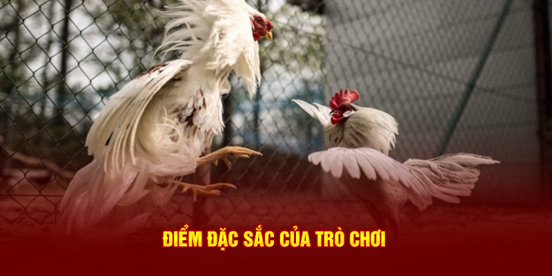 Điểm đặc sắc của trò chơi