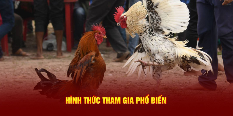 Hình thức tham gia phổ biến