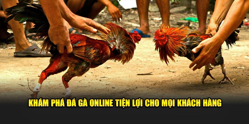 Khám phá trò chơi đá gà tiện lợi cho mọi khách hàng