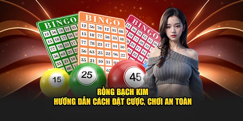 Rồng bạch kim ABC8 cách đặt cược an toàn