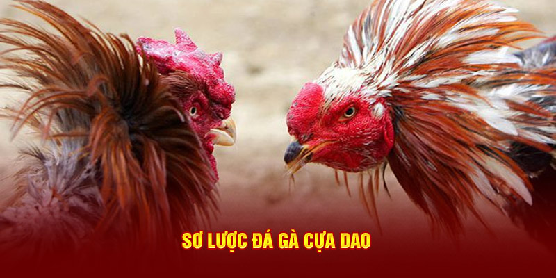 Sơ lược đá gà cựa dao